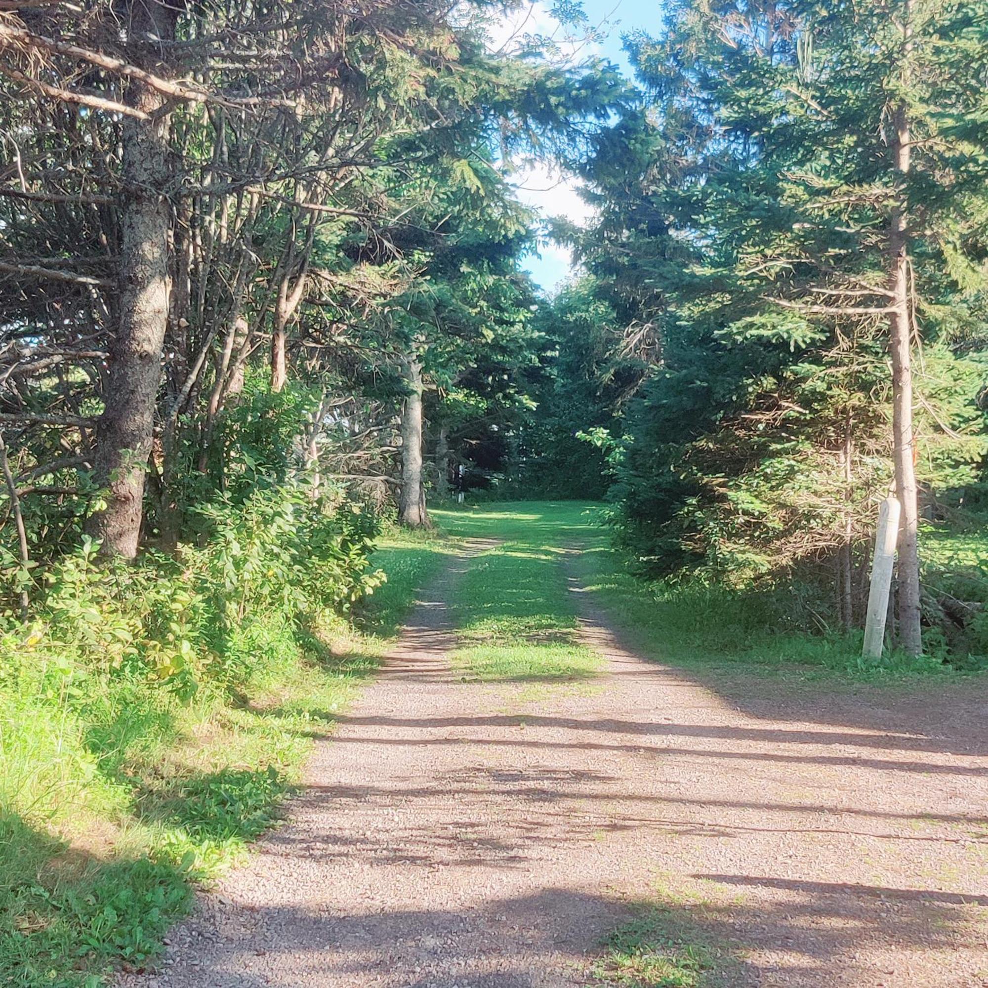 Avonlea Forest Hill Cottages New Glasgow Εξωτερικό φωτογραφία