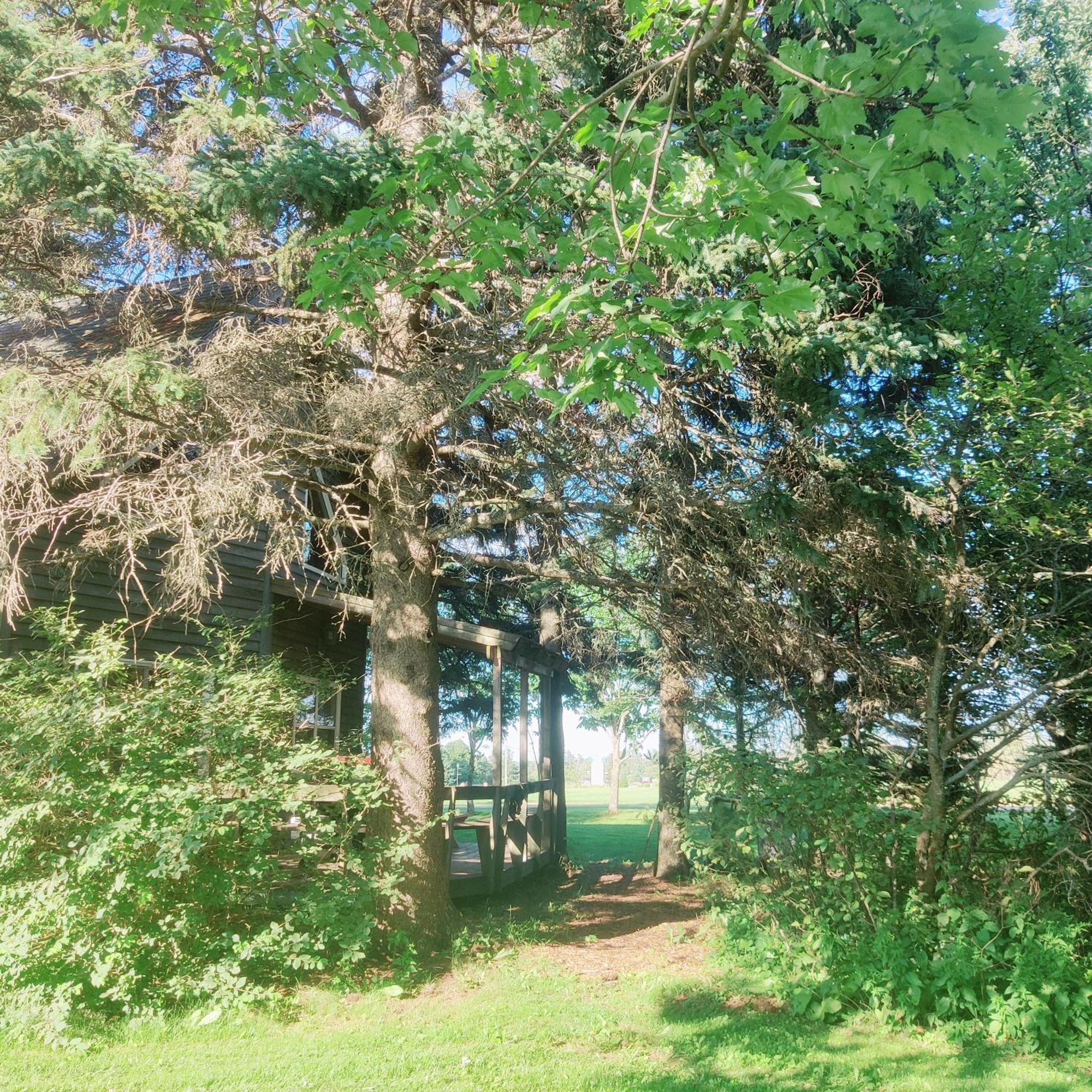 Avonlea Forest Hill Cottages New Glasgow Εξωτερικό φωτογραφία